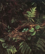 Bird's Nest and Ferns (1863) by Fidelia Bridges"When we examine a nest, we place ourselves at the origin of confidence in the world." -—Gaston Bachelard, The Poetics of Space