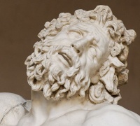 A depiction by Charles Bell of of the Laocoon marble in The Anatomy and Philosophy of Expression