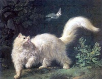Un chat Angola qui guette un oiseau 1861 by Jean-Jacques Bachelier