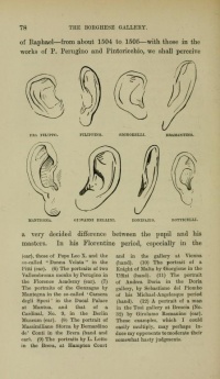Ears from Italian Painters