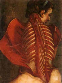 This page Anatomy is part of the medicine series.Illustration: The Flayed Angel (1746), anatomical drawing by Jacques Gautier d'Agoty