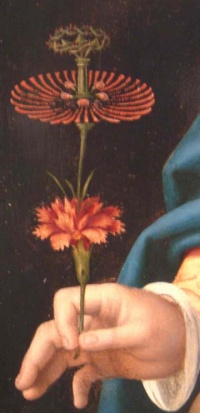 Madonna and Child with Carnation (Cincinnati version, 1530-35) (flower detail) by Joos van Cleve