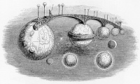 Interplanetary Bridge, Surrealism avant la lettre from Un autre monde (1844) by Grandville
